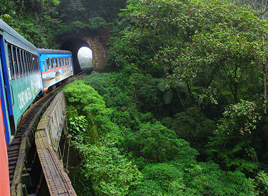 Passeio de trem Curitiba