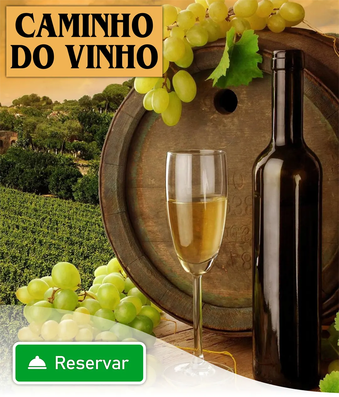 Caminho do Vinho